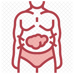 Ilustración de Colina apoyando la digestión y aliviando la hinchazón
